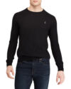 Polo Ralph Lauren Slim Fit Cotton Sweater Polo Black