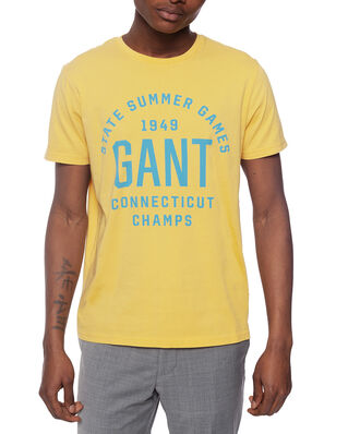 Gant D2. Summer Graphic Ss T-Shirt Mimosa Yellow